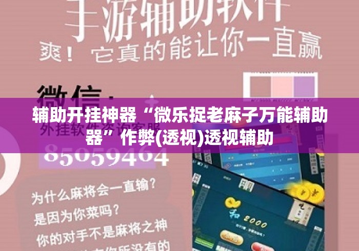 辅助开挂神器“微乐捉老麻子万能辅助器”作弊(透视)透视辅助