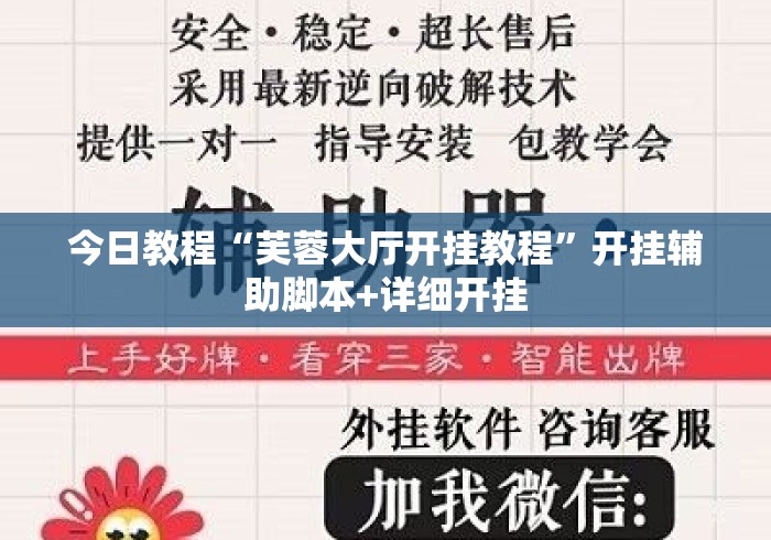 今日教程“芙蓉大厅开挂教程”开挂辅助脚本+详细开挂