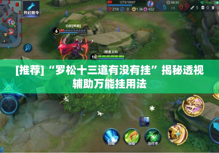 [推荐]“罗松十三道有没有挂”揭秘透视辅助万能挂用法