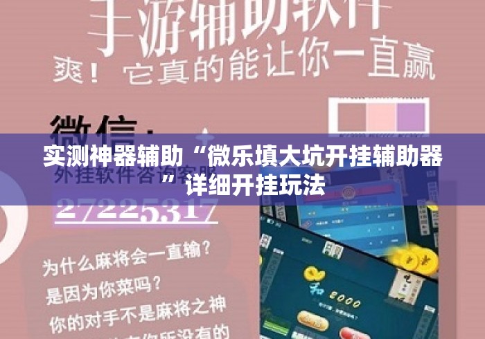 实测神器辅助“微乐填大坑开挂辅助器”详细开挂玩法