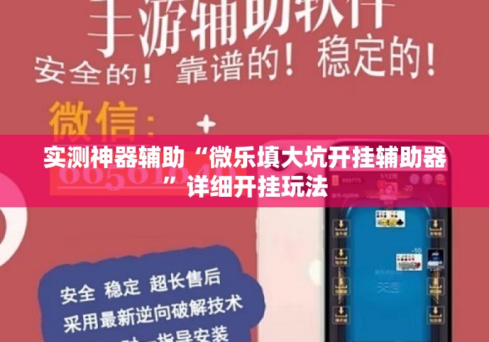 实测神器辅助“微乐填大坑开挂辅助器”详细开挂玩法