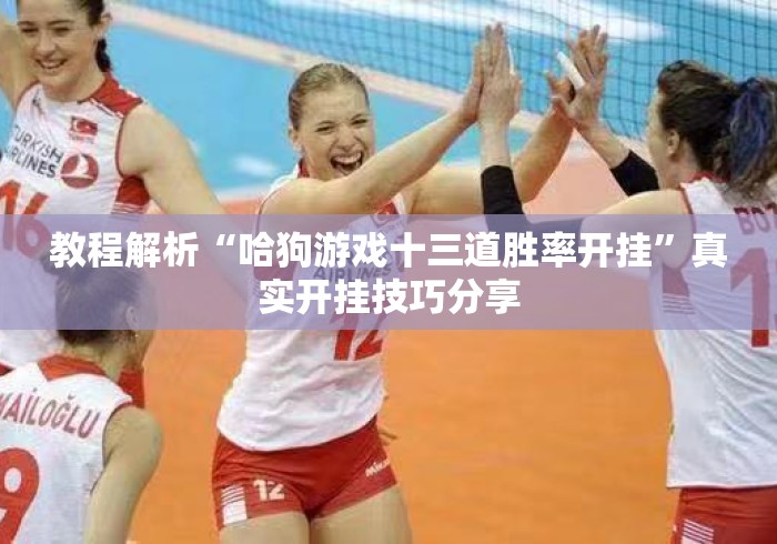 教程解析“哈狗游戏十三道胜率开挂”真实开挂技巧分享