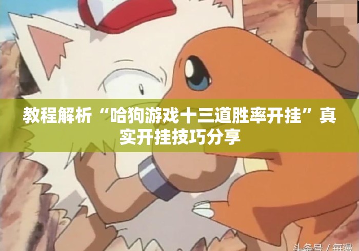 教程解析“哈狗游戏十三道胜率开挂”真实开挂技巧分享