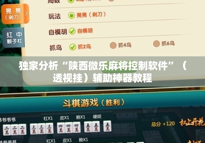 独家分析“陕西微乐麻将控制软件”（透视挂）辅助神器教程