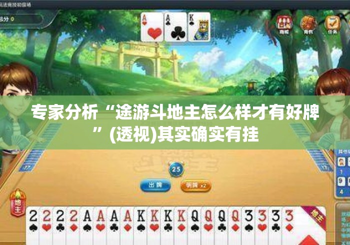 专家分析“途游斗地主怎么样才有好牌”(透视)其实确实有挂