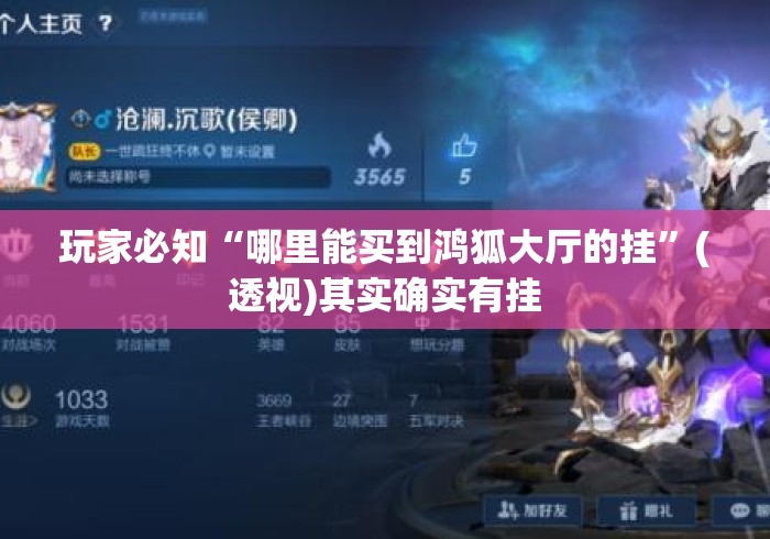玩家必知“哪里能买到鸿狐大厅的挂”(透视)其实确实有挂