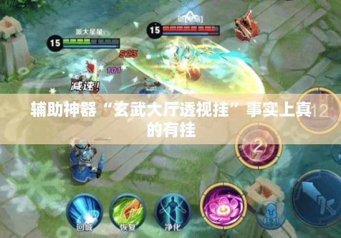 辅助神器“玄武大厅透视挂”事实上真的有挂