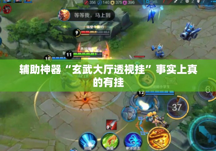 辅助神器“玄武大厅透视挂	”事实上真的有挂