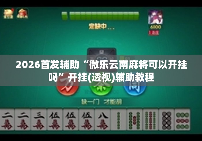 2026首发辅助“微乐云南麻将可以开挂吗	”开挂(透视)辅助教程