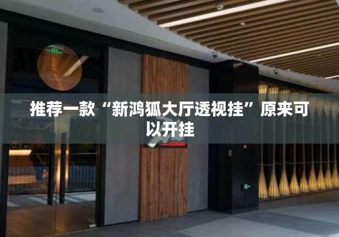 推荐一款“新鸿狐大厅透视挂”原来可以开挂