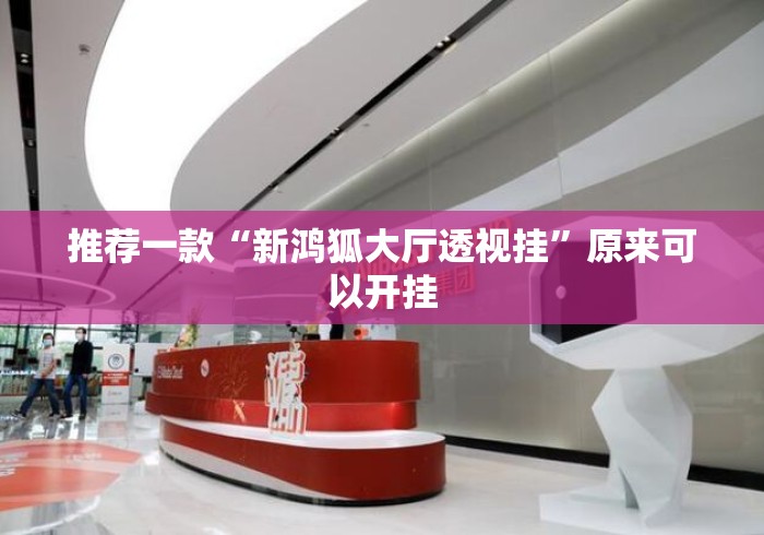推荐一款“新鸿狐大厅透视挂”原来可以开挂