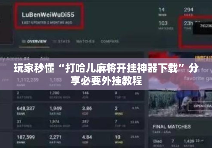 玩家秒懂“打哈儿麻将开挂神器下载”分享必要外挂教程