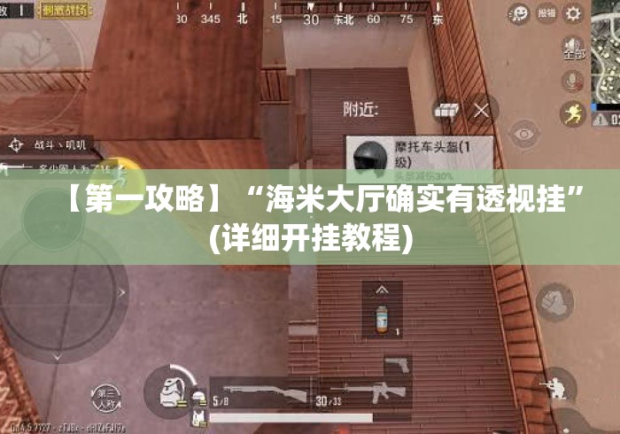 【第一攻略】“海米大厅确实有透视挂	”(详细开挂教程)