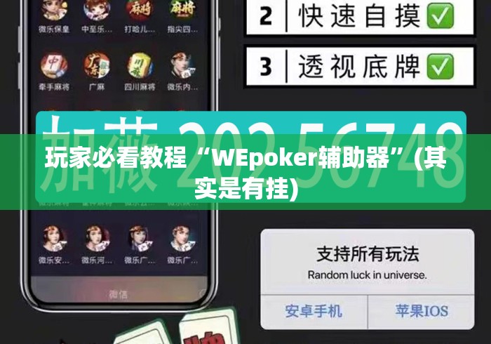 玩家必看教程“WEpoker辅助器”(其实是有挂)