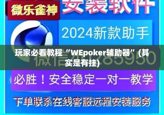 玩家必看教程“WEpoker辅助器”(其实是有挂)