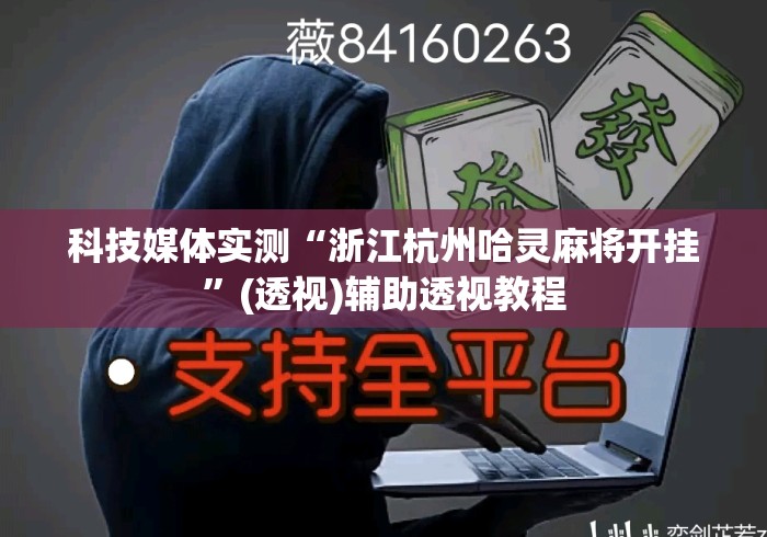 科技媒体实测“浙江杭州哈灵麻将开挂”(透视)辅助透视教程