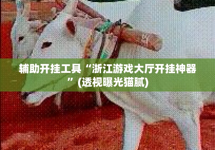 辅助开挂工具“浙江游戏大厅开挂神器”(透视曝光猫腻)