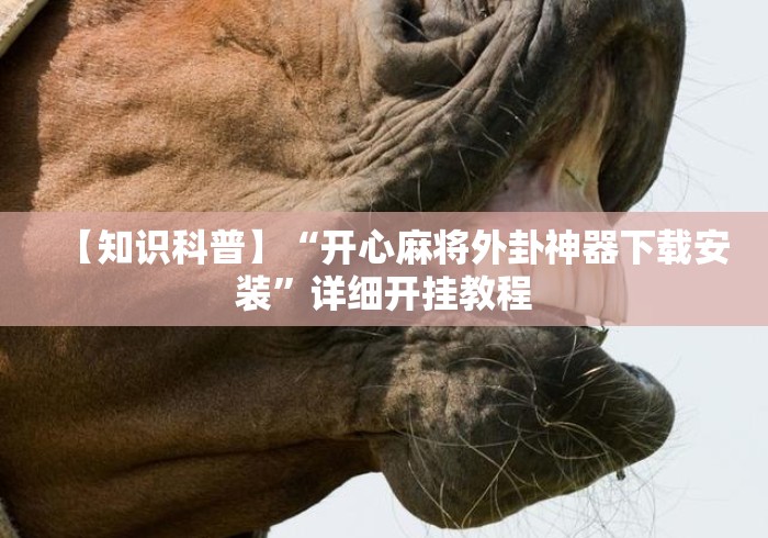 【知识科普】“开心麻将外卦神器下载安装”详细开挂教程