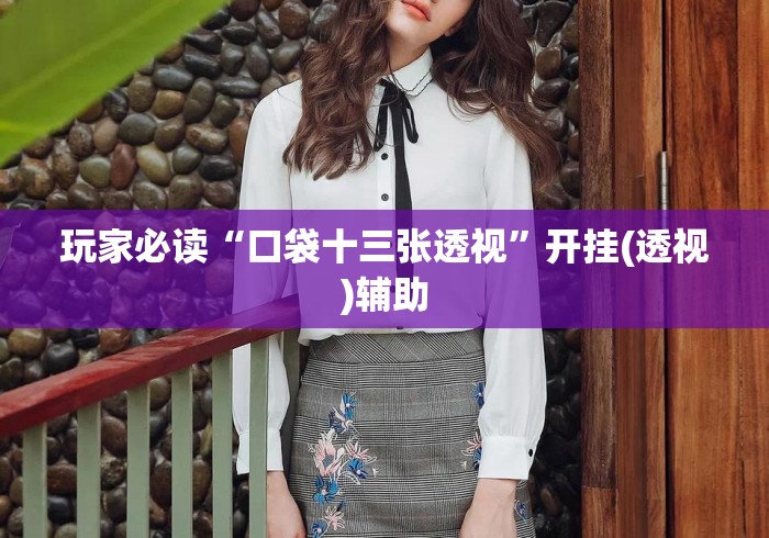 玩家必读“口袋十三张透视	”开挂(透视)辅助