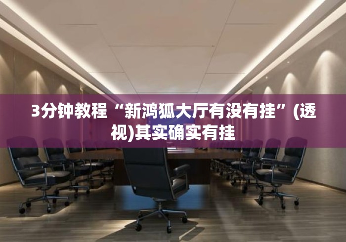 3分钟教程“新鸿狐大厅有没有挂”(透视)其实确实有挂