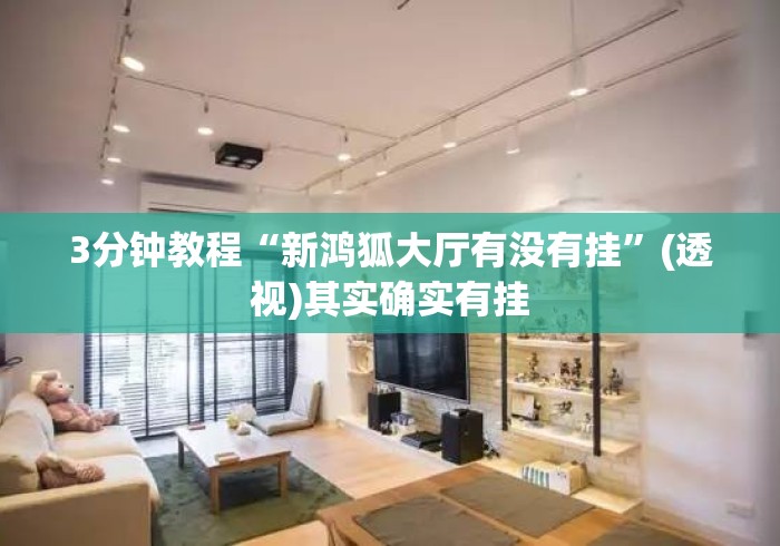3分钟教程“新鸿狐大厅有没有挂”(透视)其实确实有挂