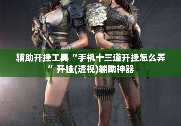辅助开挂工具“手机十三道开挂怎么弄	”开挂(透视)辅助神器