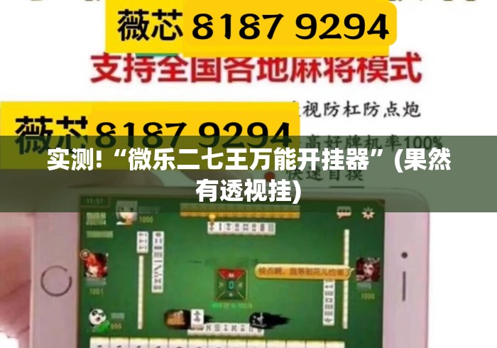 实测!“微乐二七王万能开挂器	”(果然有透视挂)