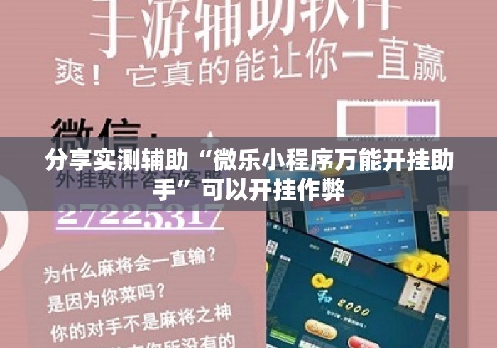 分享实测辅助“微乐小程序万能开挂助手	”可以开挂作弊