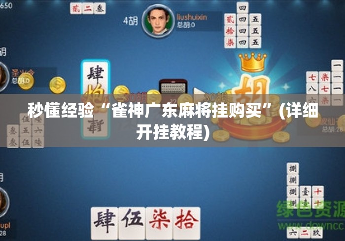 秒懂经验“雀神广东麻将挂购买”(详细开挂教程)