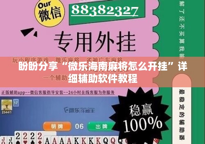 盼盼分享“微乐海南麻将怎么开挂	”详细辅助软件教程