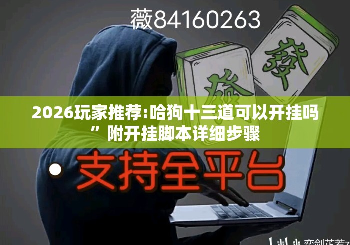 2026玩家推荐:哈狗十三道可以开挂吗”附开挂脚本详细步骤