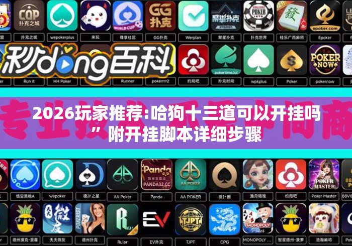 2026玩家推荐:哈狗十三道可以开挂吗”附开挂脚本详细步骤