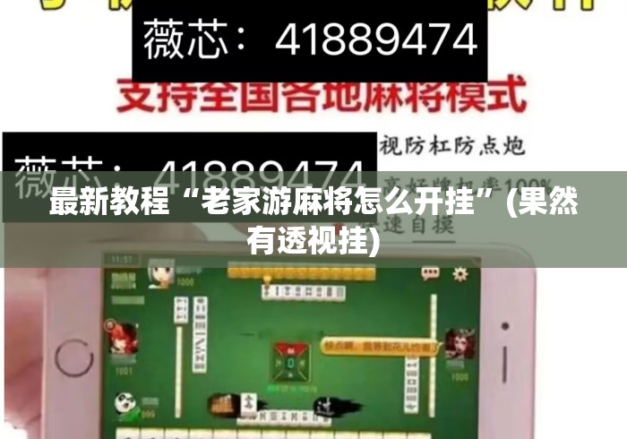 最新教程“老家游麻将怎么开挂”(果然有透视挂)