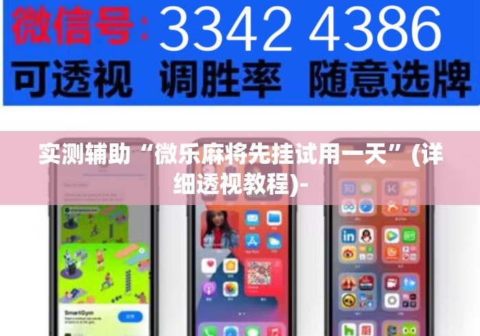 实测辅助“微乐麻将先挂试用一天”(详细透视教程)-