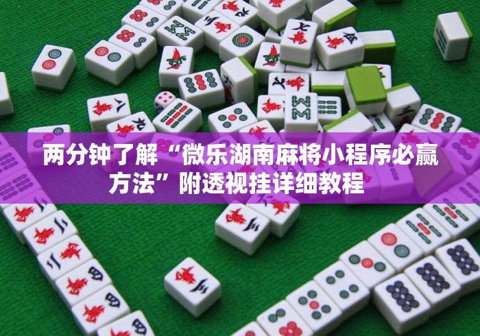 两分钟了解“微乐湖南麻将小程序必赢方法	”附透视挂详细教程 