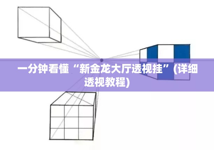 一分钟看懂“新金龙大厅透视挂”(详细透视教程)