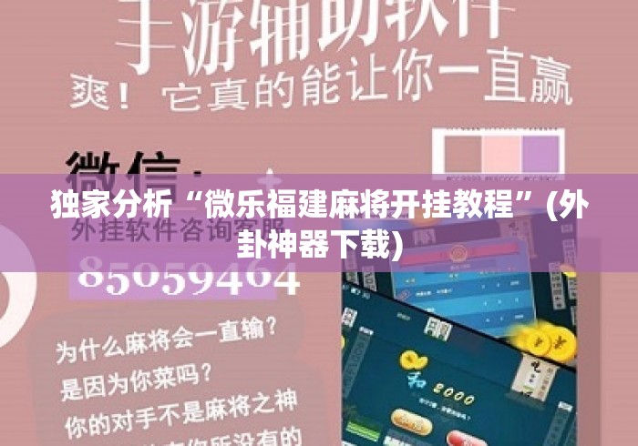 独家分析“微乐福建麻将开挂教程”(外卦神器下载)