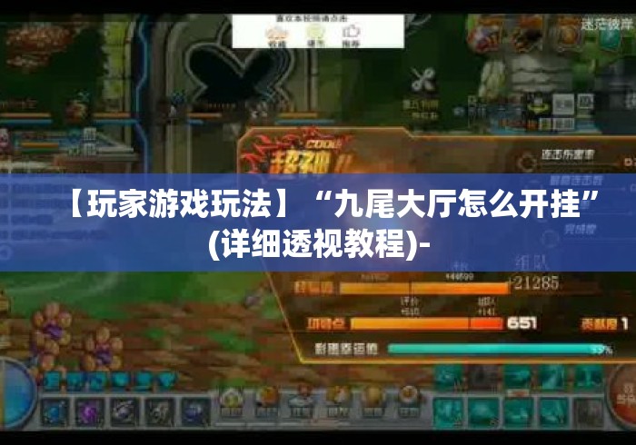 【玩家游戏玩法】“九尾大厅怎么开挂	”(详细透视教程)-