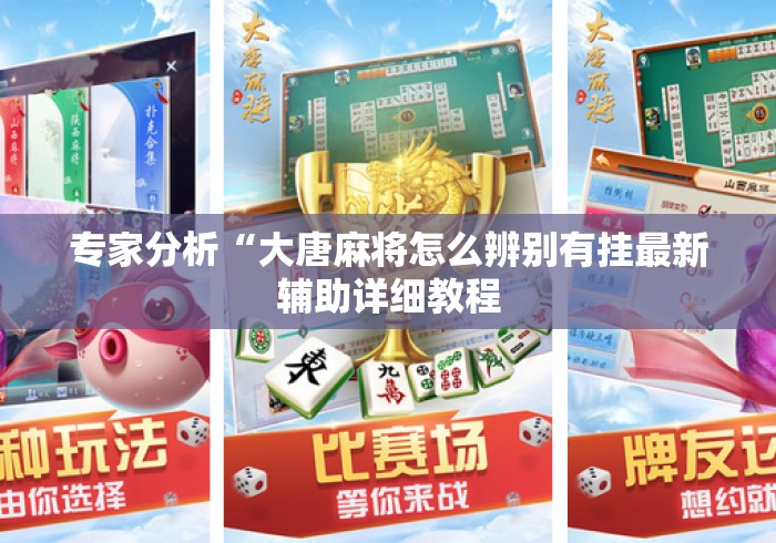 专家分析“大唐麻将怎么辨别有挂最新辅助详细教程