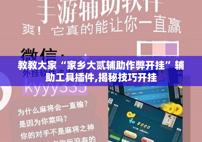 教教大家“家乡大贰辅助作弊开挂”辅助工具插件,揭秘技巧开挂