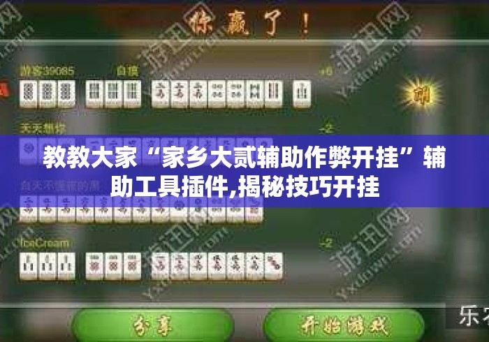 教教大家“家乡大贰辅助作弊开挂”辅助工具插件,揭秘技巧开挂