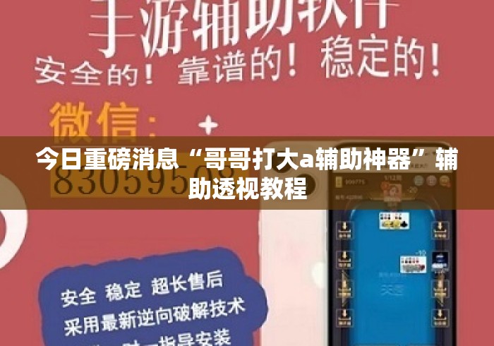 今日重磅消息“哥哥打大a辅助神器	”辅助透视教程