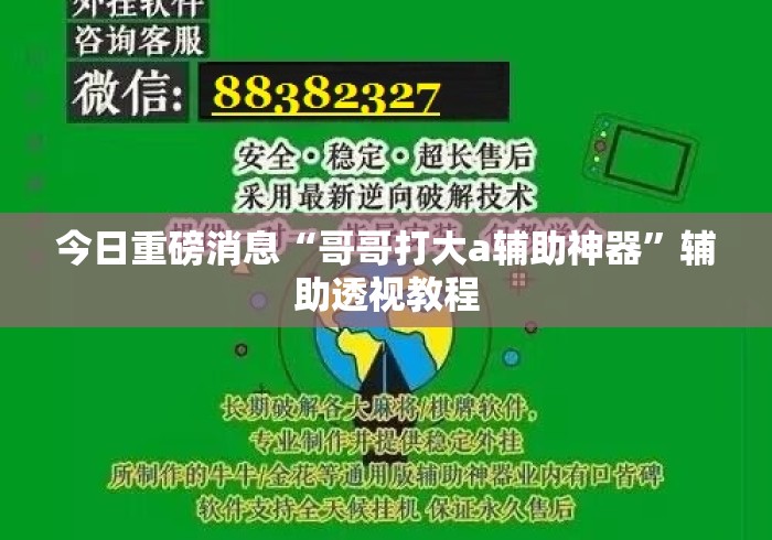 今日重磅消息“哥哥打大a辅助神器”辅助透视教程