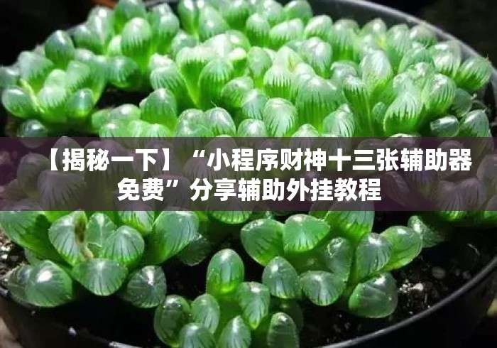【揭秘一下】“小程序财神十三张辅助器免费	”分享辅助外挂教程