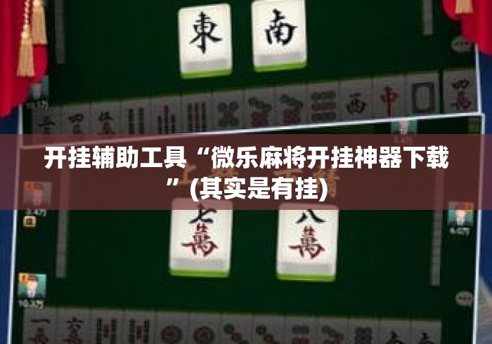 开挂辅助工具“微乐麻将开挂神器下载”(其实是有挂)