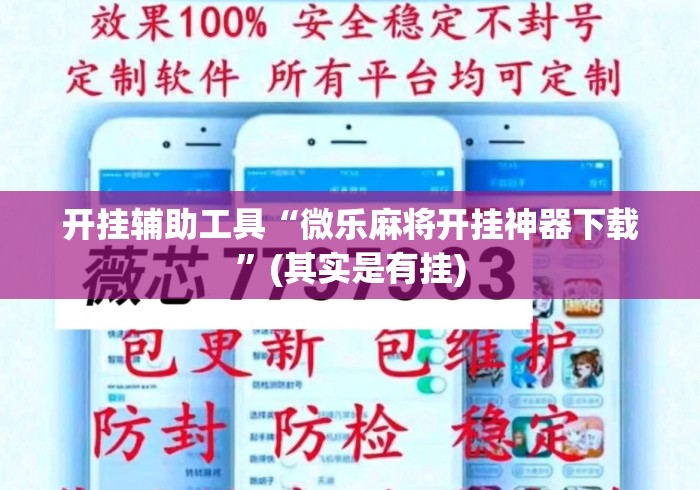 开挂辅助工具“微乐麻将开挂神器下载”(其实是有挂)