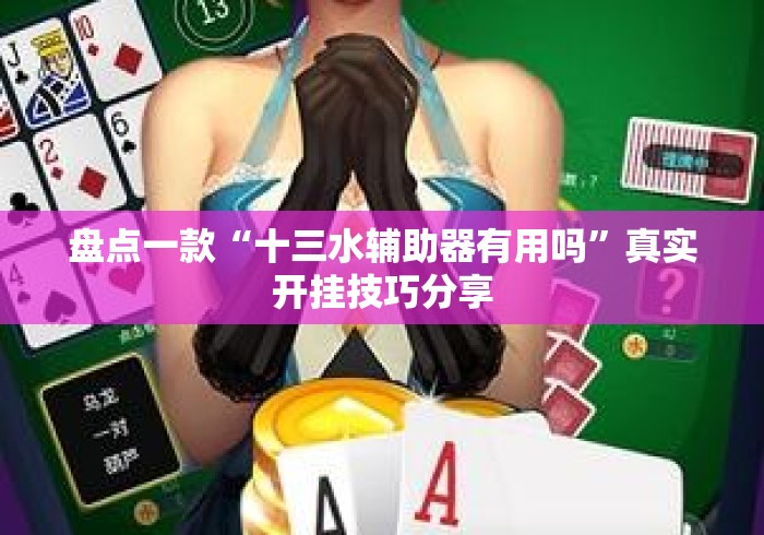 盘点一款“十三水辅助器有用吗”真实开挂技巧分享