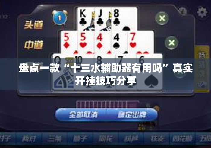 盘点一款“十三水辅助器有用吗	”真实开挂技巧分享