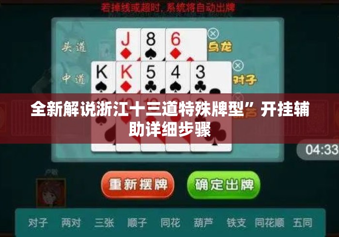 全新解说浙江十三道特殊牌型”开挂辅助详细步骤