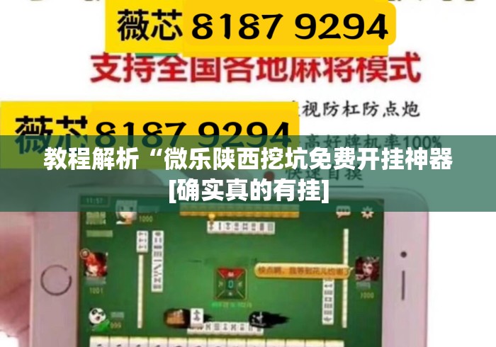 教程解析“微乐陕西挖坑免费开挂神器[确实真的有挂]
